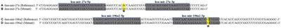Association of miR-196a2 and miR-27a polymorphisms with gestational diabetes mellitus susceptibility in a Chinese population